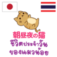 ชีวิตประจำวันของแมวน้อยไทย-ญี่ปุ่น
