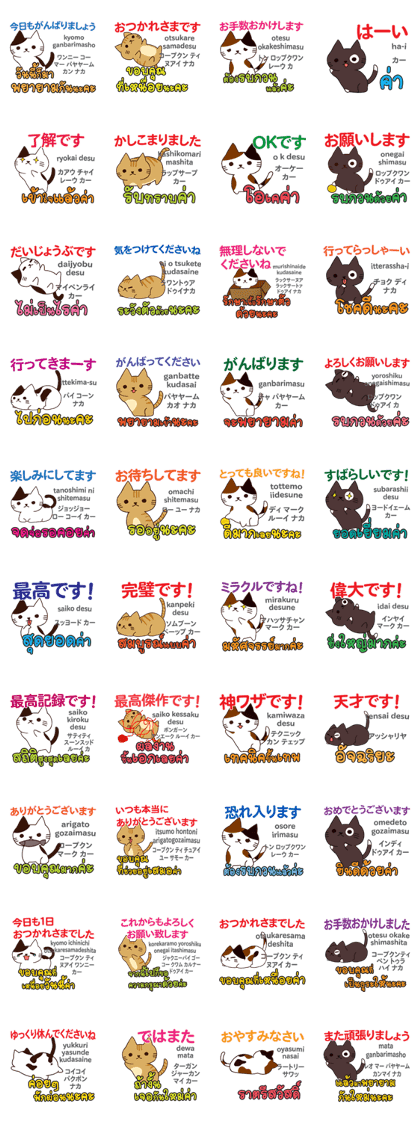 Cats life Thai&Japanese