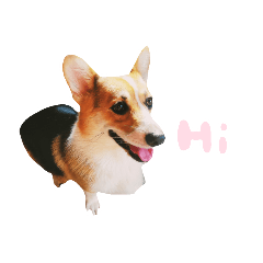 melon_20210419204610