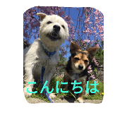 Mameta&Fuku2 Mameta&Fuku2