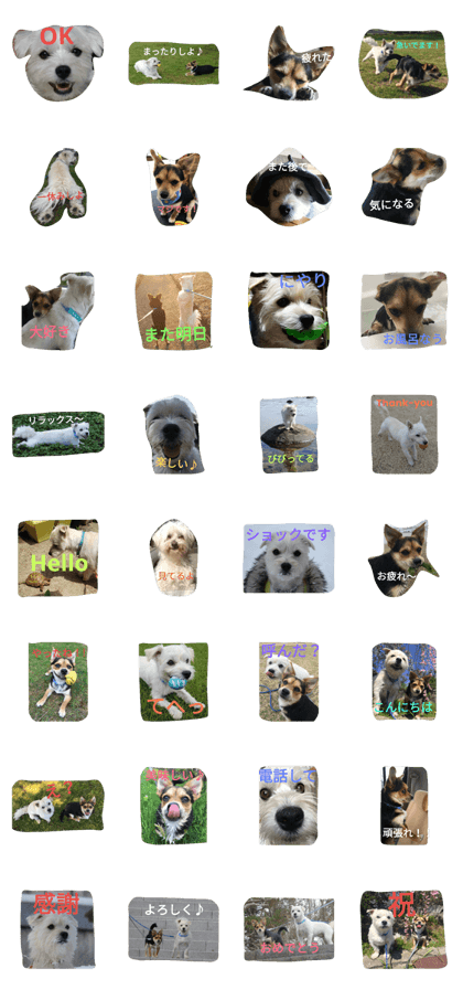 Mameta&Fuku2 Mameta&Fuku2