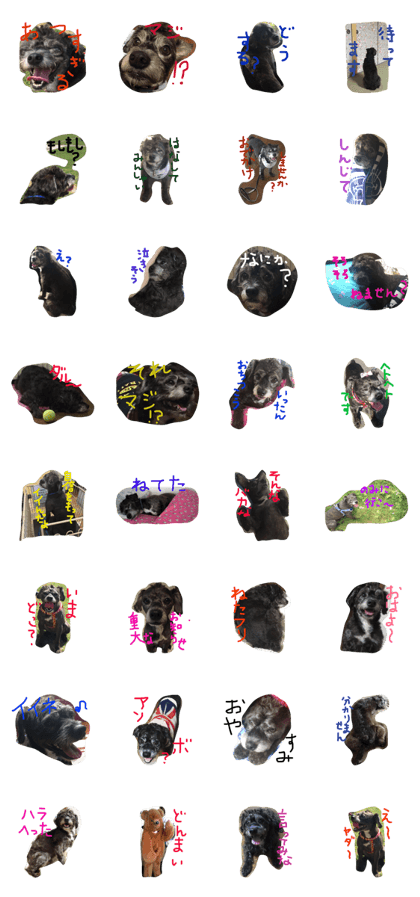 dog like dog dog like dog