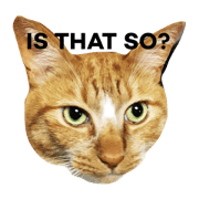 Yuzu & Ojigi Yuzu & Ojigi