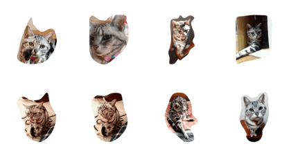 nyankonyan nyankonyan