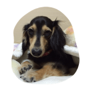 fujimura maro fujimura maro