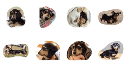 fujimura maro fujimura maro