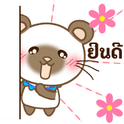 siamese bear moving everyday thailand siamese bear moving everyday thailand