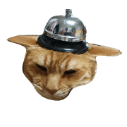 Brown cat purr purr Brown cat purr purr