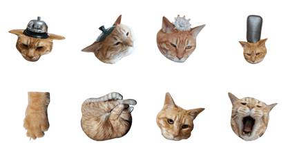 Brown cat purr purr Brown cat purr purr