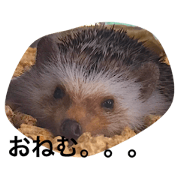 Dubbing on funny aspects of animals! Dubbing on funny aspects of animals!