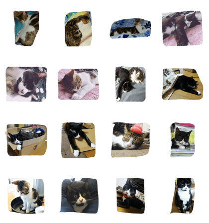 nonnbiri 2hikino nyanko nonnbiri 2hikino nyanko