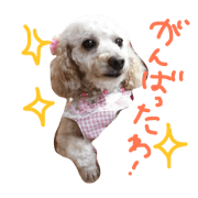 itsunomani itsunomani