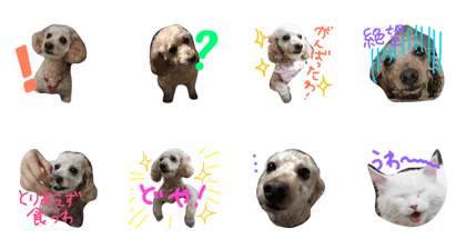 itsunomani itsunomani