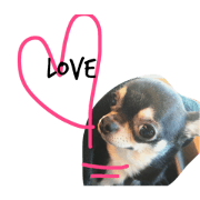 eve&sakuraco eve&sakuraco