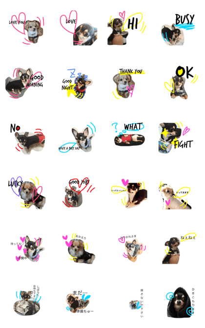 eve&sakuraco eve&sakuraco