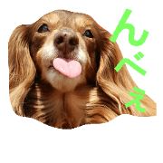 hiyori stamp! hiyori stamp!