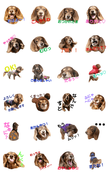 hiyori stamp! hiyori stamp!