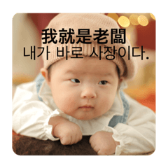 我是一隻愛乾淨的貓咪