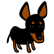 Miniature Pinscher's lover Miniature Pinscher's lover