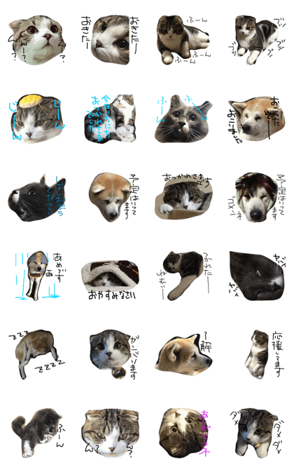 Scottish Peace & Boss Scottish Peace & Boss