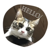 Petsfamily Petsfamily