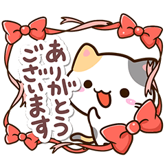 Small Cute Calico cat 18