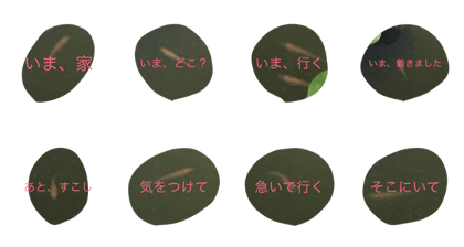 MEDAKANONITIJYOU2 MEDAKANONITIJYOU2