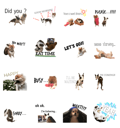 gon & nene 2 gon & nene 2