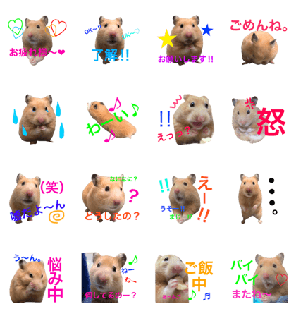 hamster chappy 2