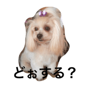 Young lady and a princess