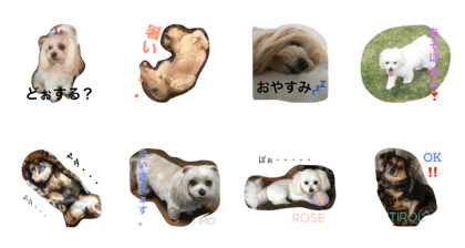 Young lady and a princess