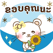 Panda cat, Pan'nya summer sticker thai