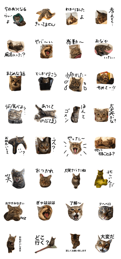 kosu&titiy kosu&titiy