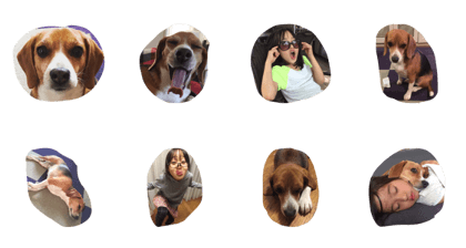 chocolacho chocolacho