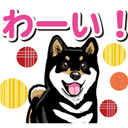 Wanko-Biyori Daily Black Shiba Inu 9