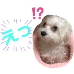 Sharon_20210420160927