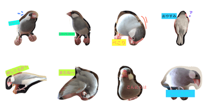 Daily greetings of Silver Stone Bird Daily greetings of Silver Stone Bird