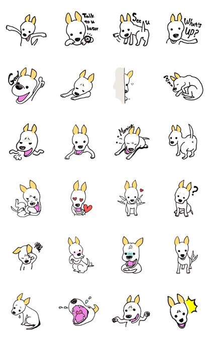 BOB the Basenji mix dog