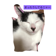 we can stamp it we can stamp it