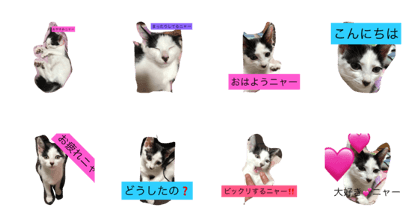 we can stamp it we can stamp it