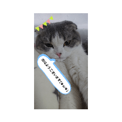 yukari_20210420172228