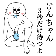 Cat Sticker Ken