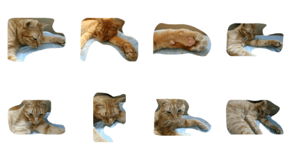 cat jyun jyun cat jyun jyun