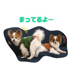 ton_20210420164259