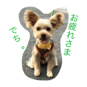 I'm Mogumogu.vol.2 I'm Mogumogu.vol.2