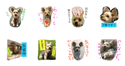 I'm Mogumogu.vol.2 I'm Mogumogu.vol.2