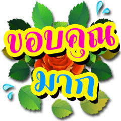 Daily Life :  Flower Words (Dukdik)