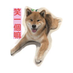 笑吧，哈哈哈哈哈哈哈