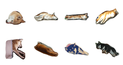 Shibainu Good night Shibainu Good night