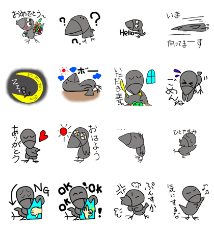 One day of a crow One day of a crow